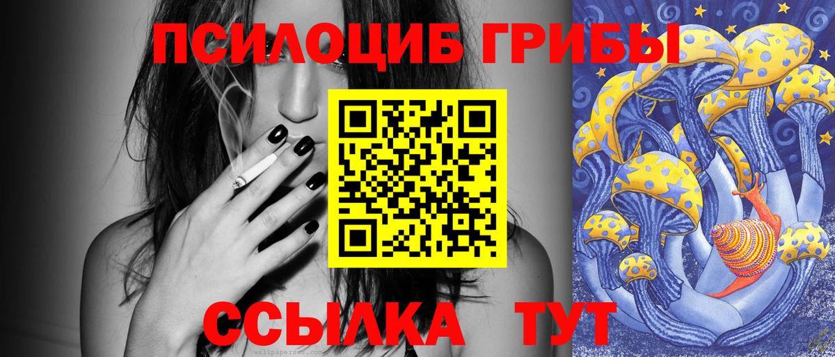 Псилоцибиновые грибы GOLDEN TEACHER  Вход с VPN  Баксан  Псилоцибиновые грибы Psilocybine cubensis 