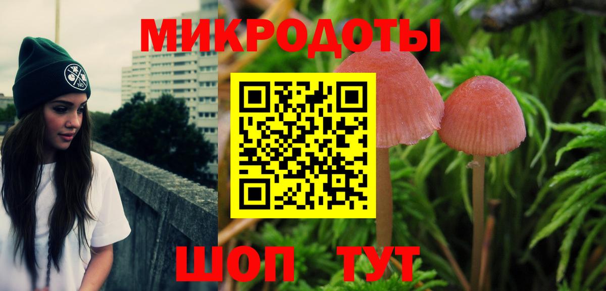 Галлюциногенные грибы Cubensis Баксан